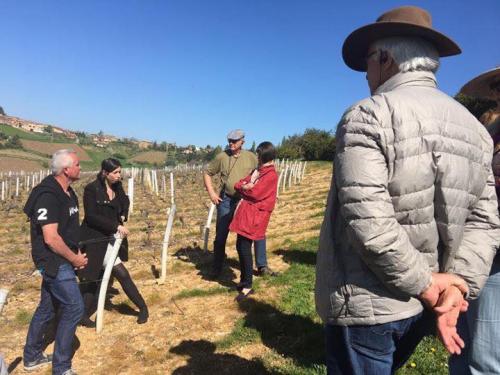Louis Lucas checks out the vineyards of the Rhone Louis Lucas checks out the vineyards of the Rhone