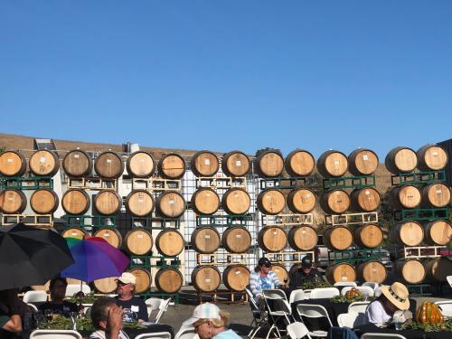 Lucas & Lewellen Harvest Party image of wall of barrels Lucas & Lewellen Harvest Party image of wall of barrels