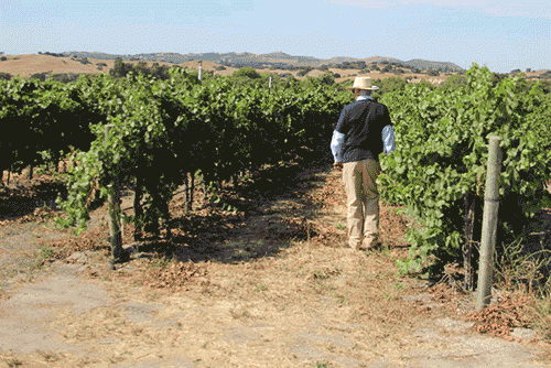 A photo of Louis Lucas out standing in the field