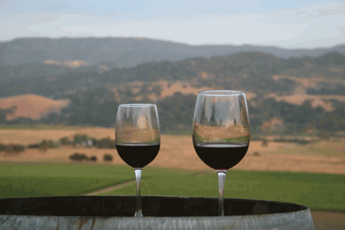 Lucas & Lewellen's Vineyard Tour