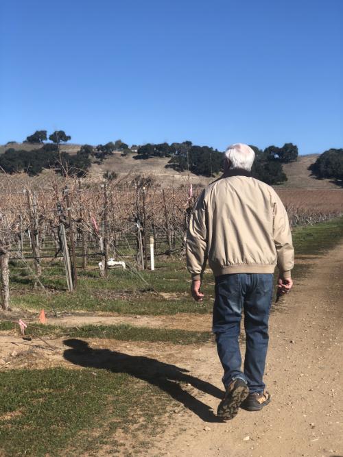 Louis Lucas walking in the vineyard Louis Lucas walking in the vineyard