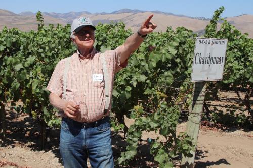 Louis Lucas pointing in the vineyard