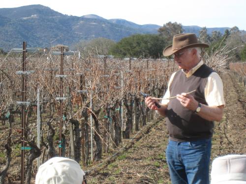 An image of Dirtman Louis Lucas giving a grapevine pruning lesson at Valley View Vineyard An image of Dirtman Louis Lucas giving a grapevine pruning lesson at Valley View Vineyard