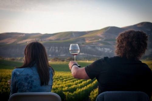 A photo of guests toasting at a vineyard A photo of guests toasting at a vineyard