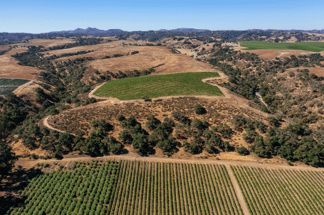 The scenic Goodchild Vineyard and High 9 hilltop in Santa Maria The scenic Goodchild Vineyard and High 9 hilltop in Santa Maria