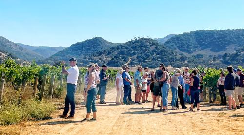 Guests in the vineyard drinking wine with mountains Guests in the vineyard drinking wine with mountains
