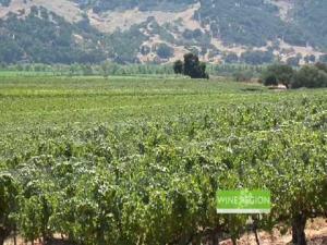 Lucas & Lewellen's Louis Lucas featured on Wine Region News