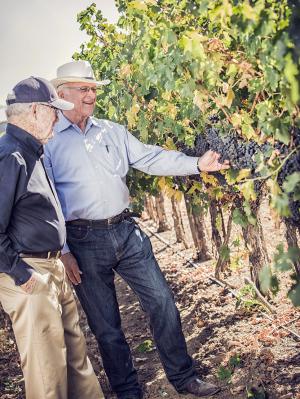 Royce Lewellen and Louis Lucas checking out grapevines