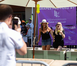 Solvang Grape Stomp