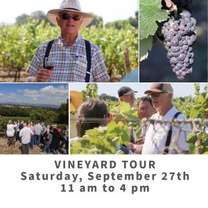 Collage of photos of guests in a vineyard drinking wine with Louis Lucas - Vineyard Tour on September 27th