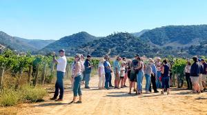 Guests in the vineyard drinking wine with mountains